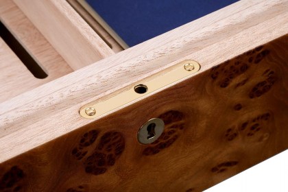 sv50-elm-dome-top_5-scaled
